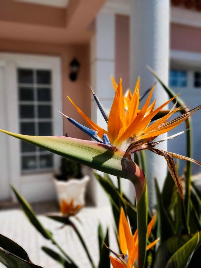 Villa Shardana B&B Sesimbra Zewnętrze zdjęcie