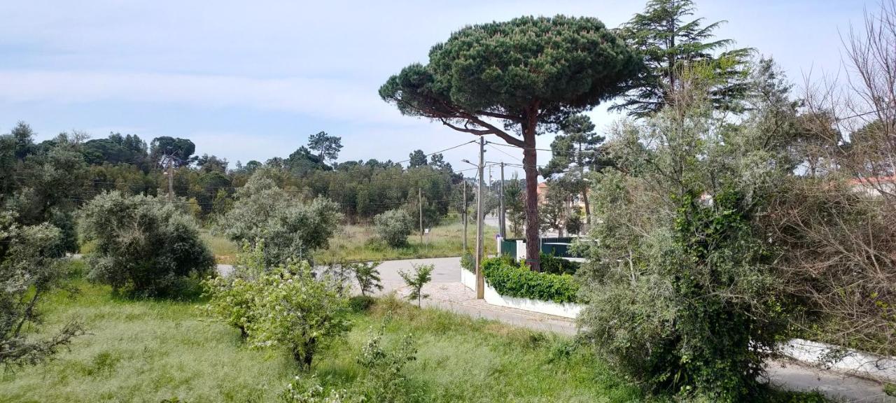 Villa Shardana B&B Sesimbra Zewnętrze zdjęcie